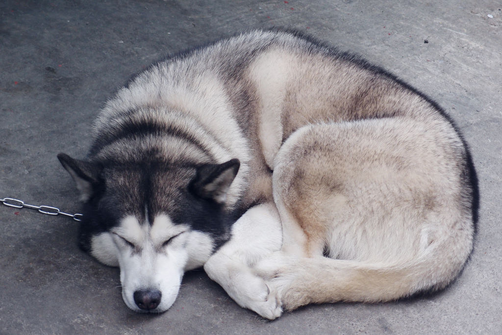 Hsinchu Science Park
