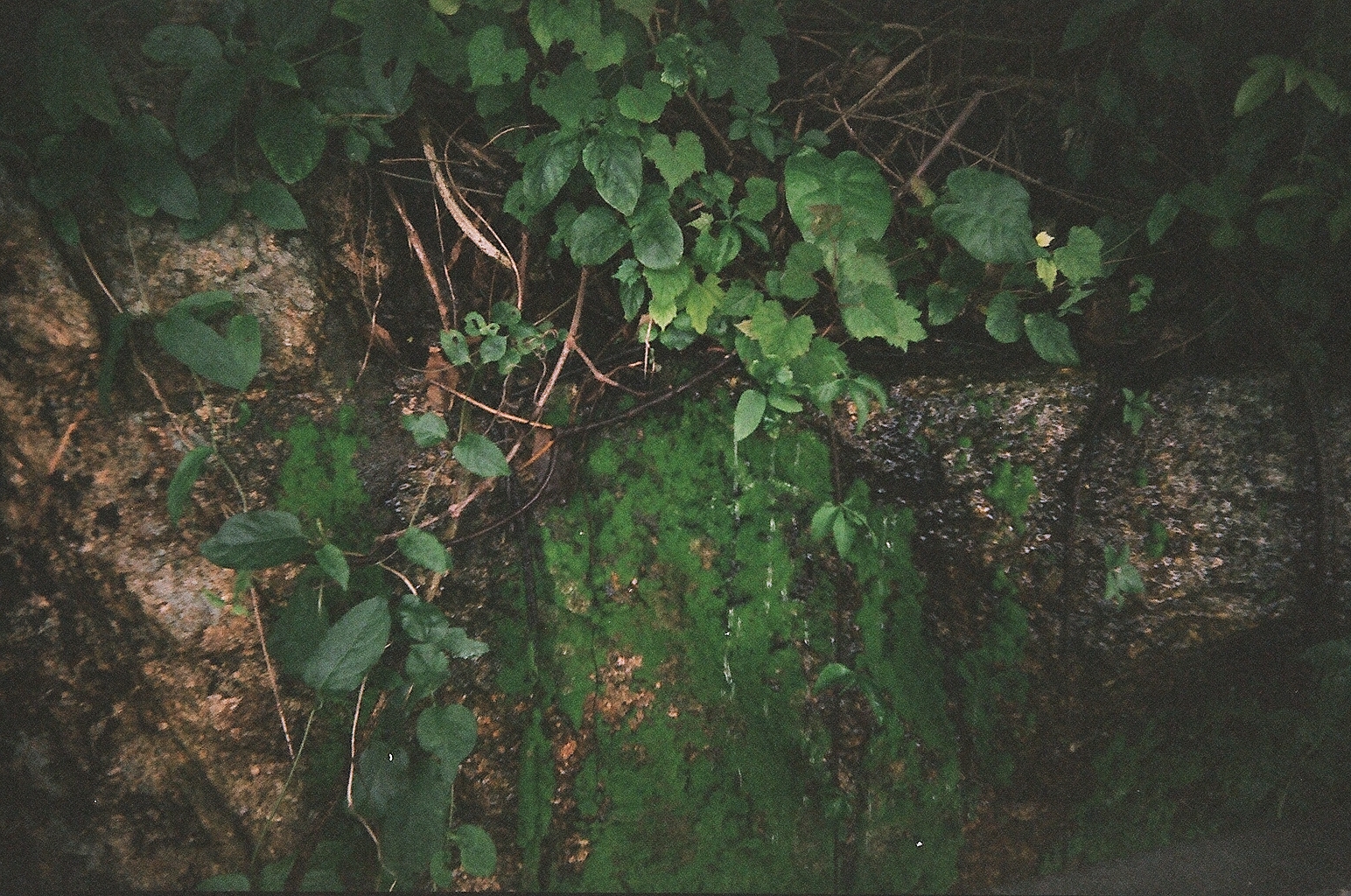 Freelance Travel Photographer | Cheung Chau, Hong Kong.