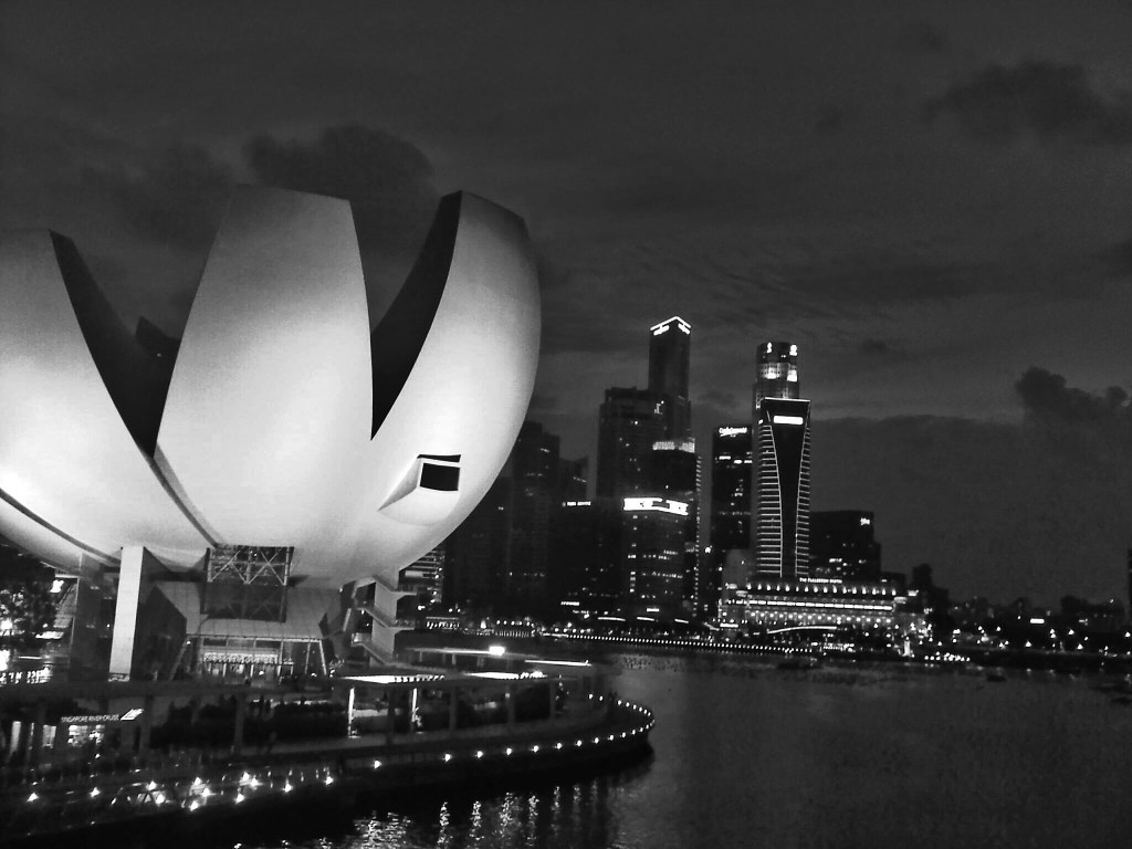 ArtScience Museum (Chinese: 艺术科学博物馆)