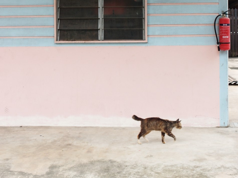 Surau Kampong Lorong Buang Kok Singapore