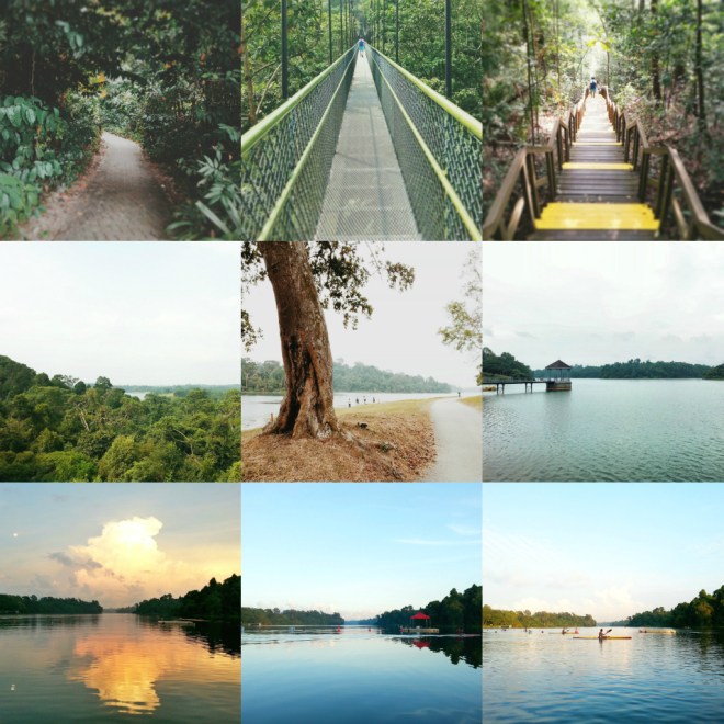 MacRitchie Reservoir Park, Singapore.