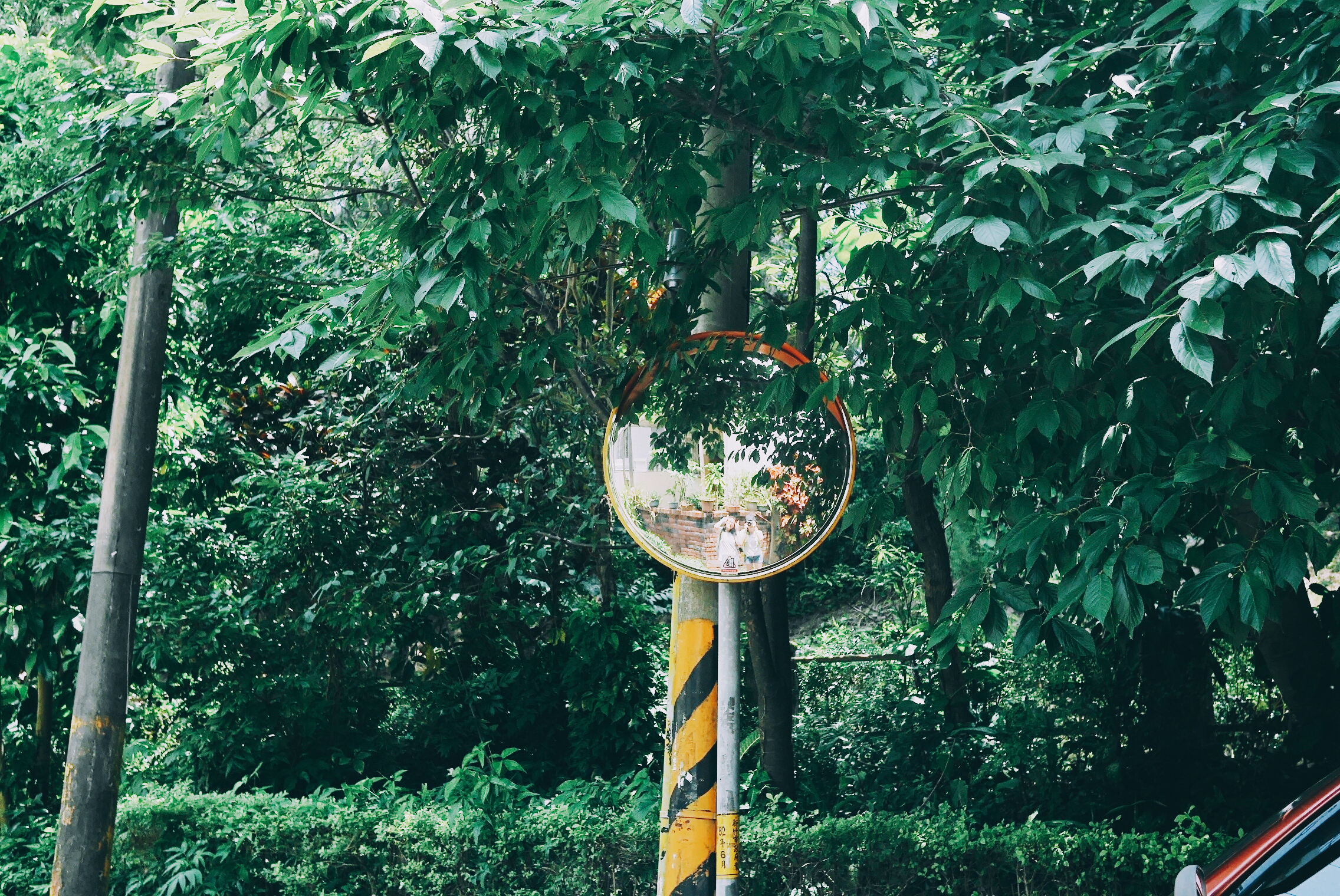 Hsinchu Science Park (科園)