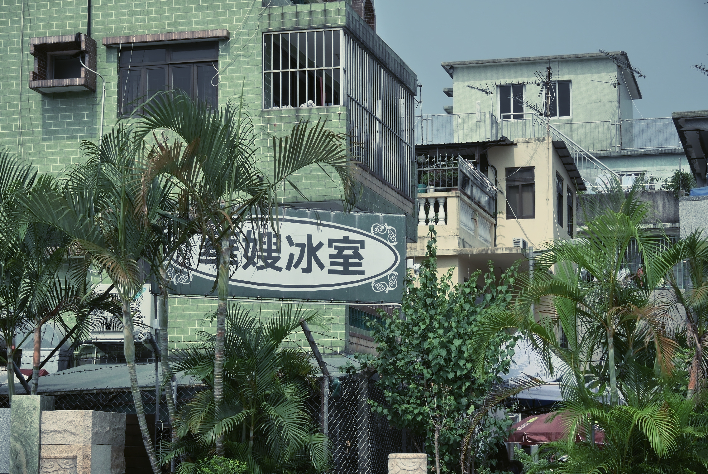 Travel Photographer | Hang Tau Tsuen Hong Kong