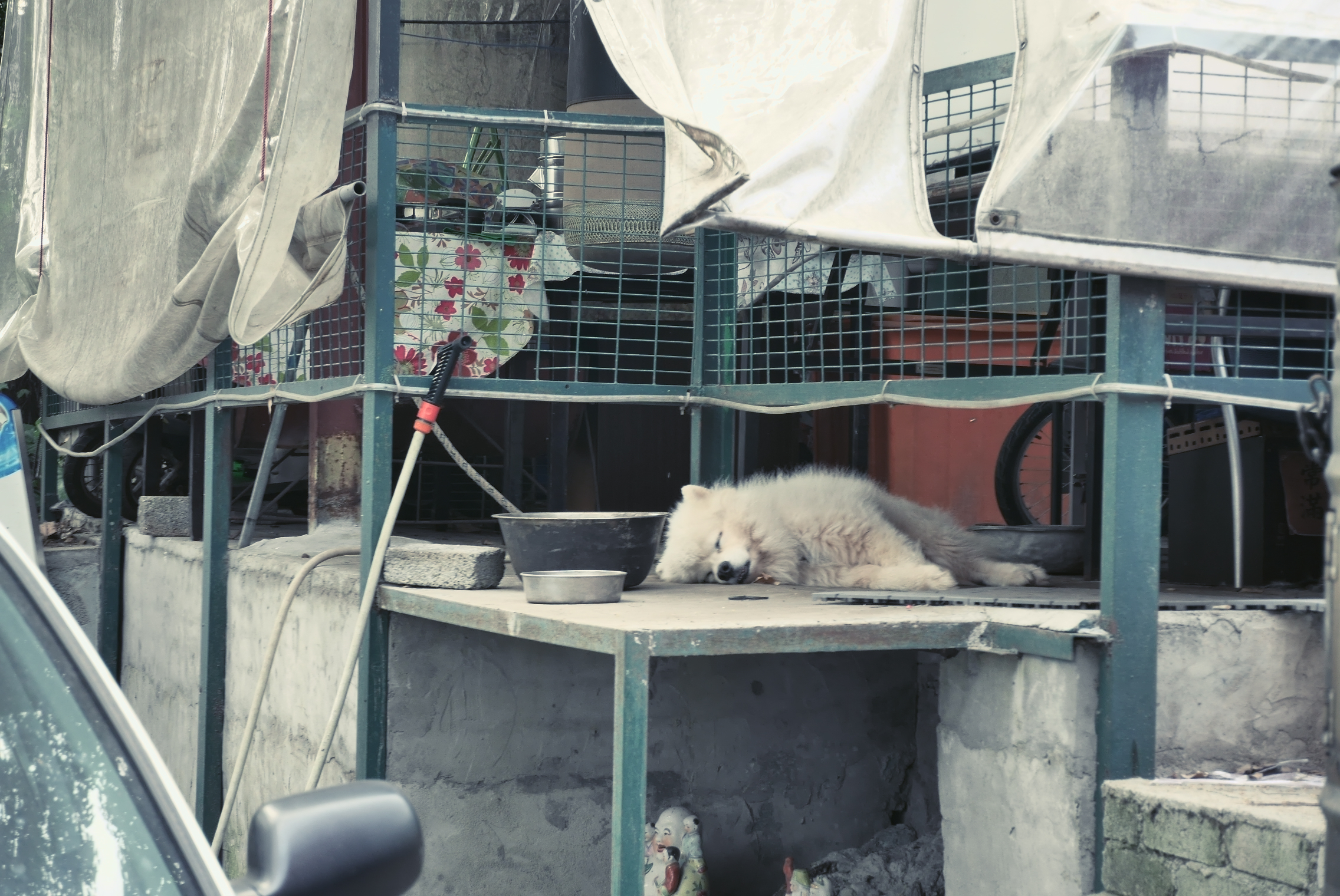 Travel Photographer | Ping Shan Heritage Trail Hong Kong