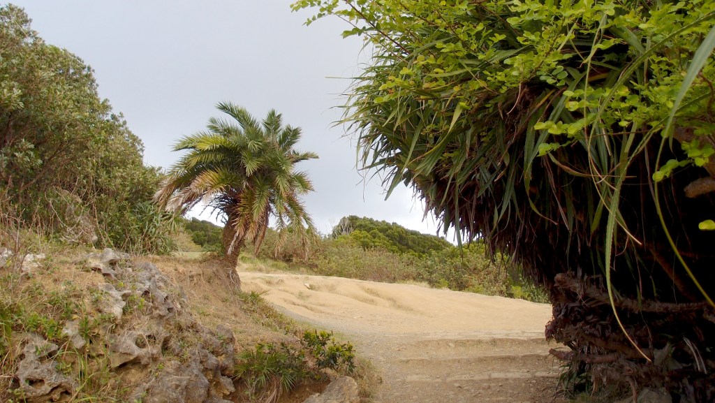 Sheding Nature Park, Kending, Taiwan.