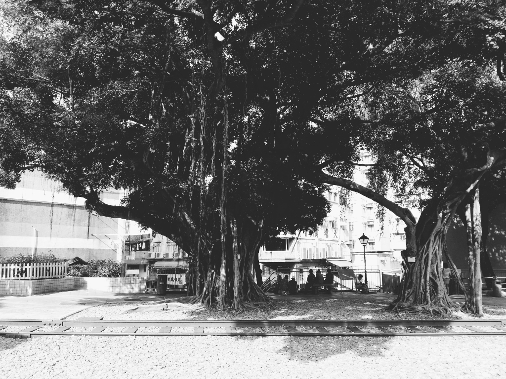Tai Po Railway Museum
