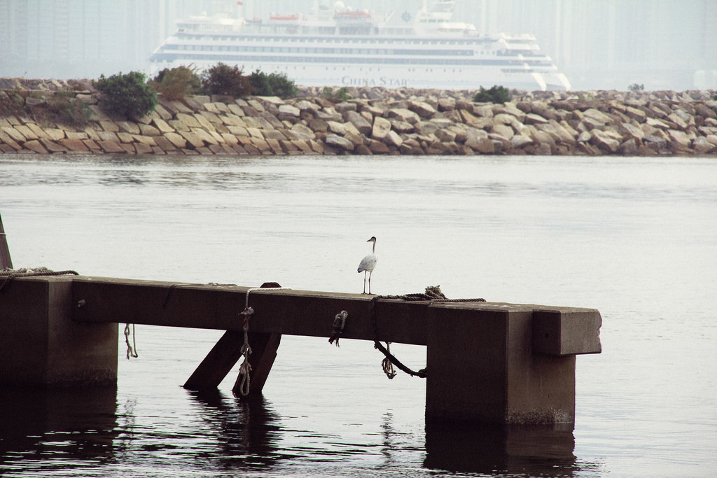 Kwun Tong Promenade, Hong Kong.