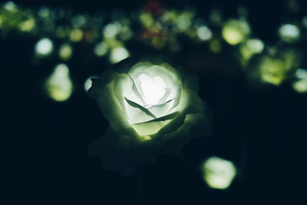 Dongdaemun Design Plaza (동대문디자인플라자), Seoul.