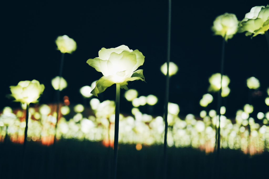 Dongdaemun Design Plaza (동대문디자인플라자), Seoul.
