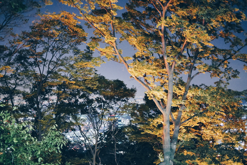 Travel Photographer | Namsan Seoul Tower South Korea