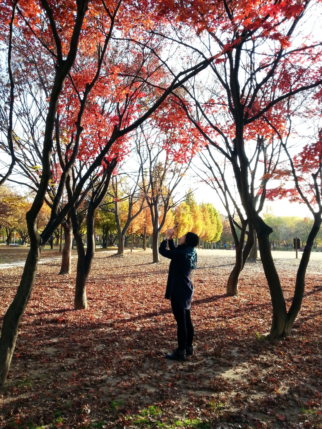 Travel Photographer | Autumn 서울숲 (Seoul Forest) South Korea