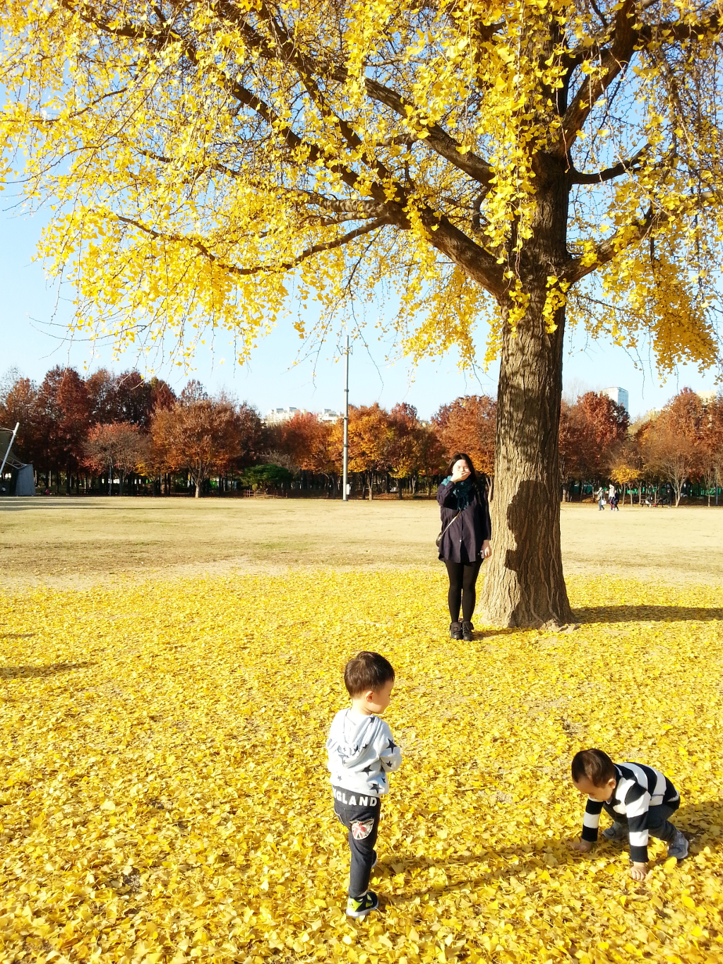 Travel Photographer | Autumn 서울숲 (Seoul Forest) South Korea