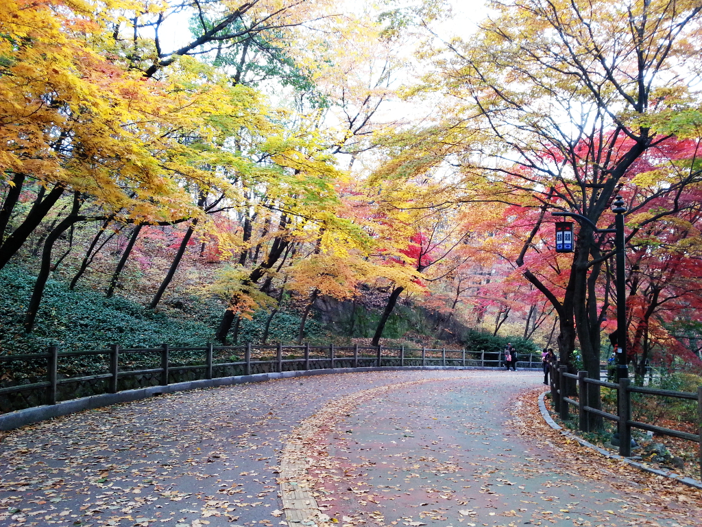 Travel Photographer | Autumn 남산 (Namsan) Seoul South Korea