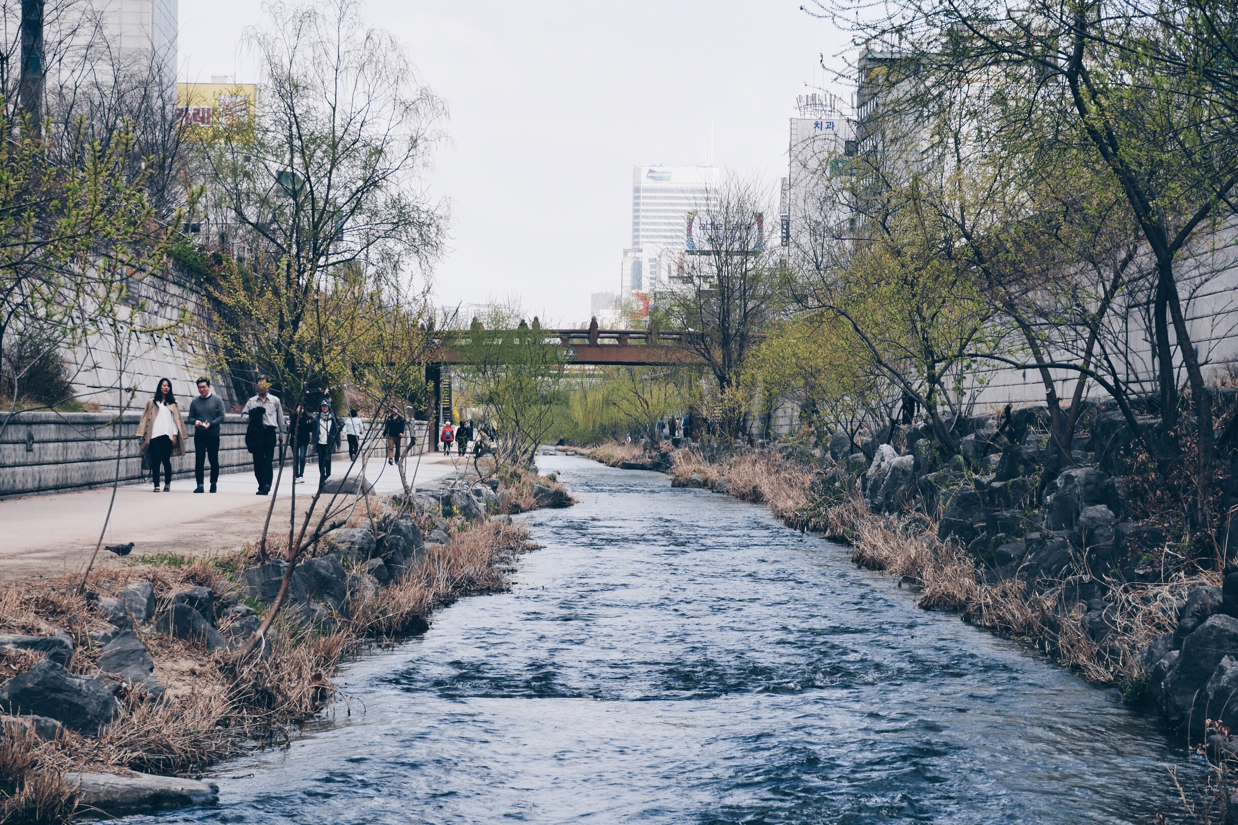 Cheonggyecheon Stream (청계천), Seoul.