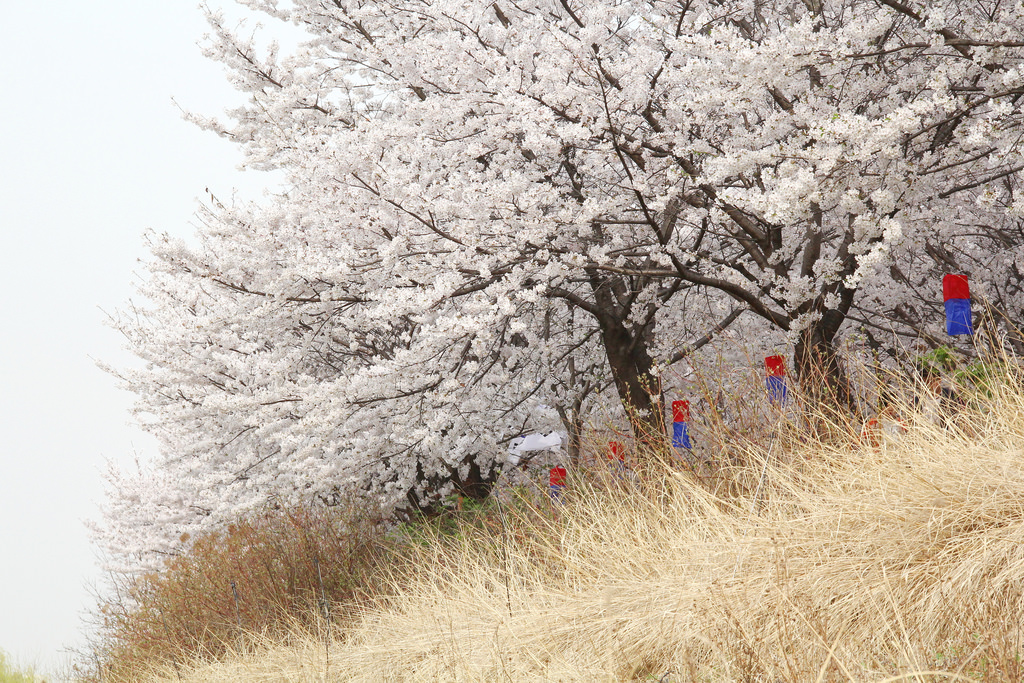 Yeongdeungpo Riverside Trail (영등포수변둘레길)