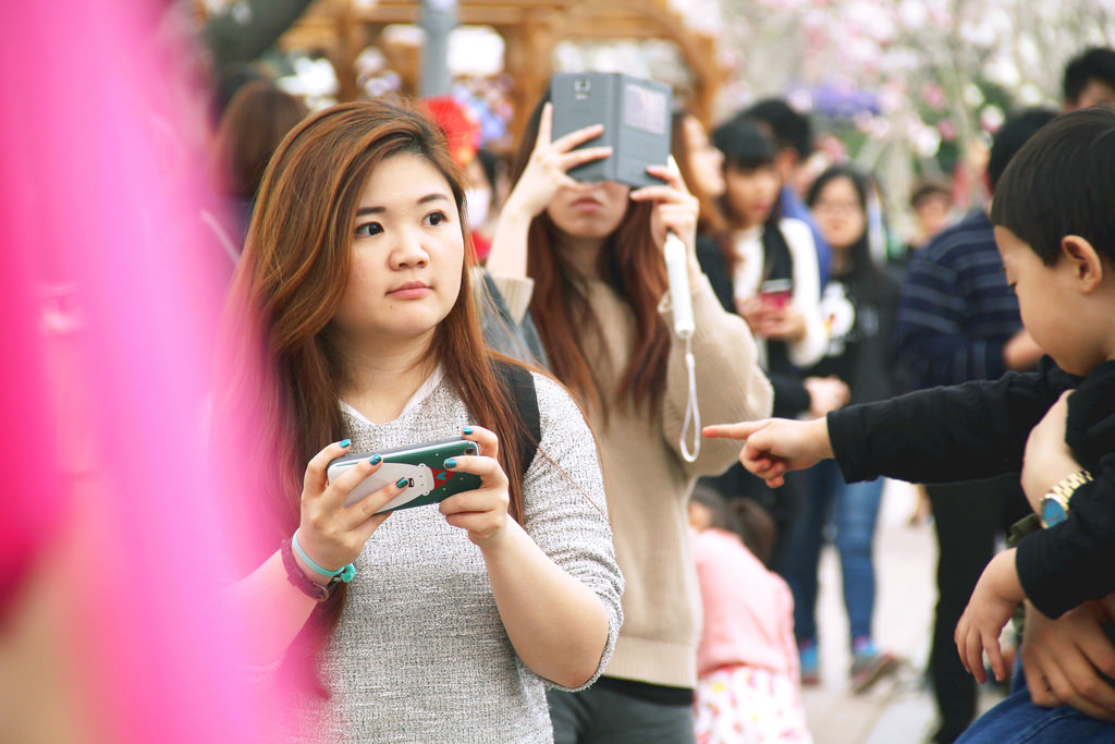 Jinhae, South Korea.