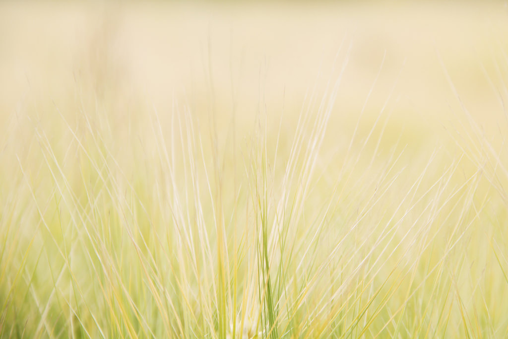 Ichon Hangang Park (이촌 한강공원), Seoul.