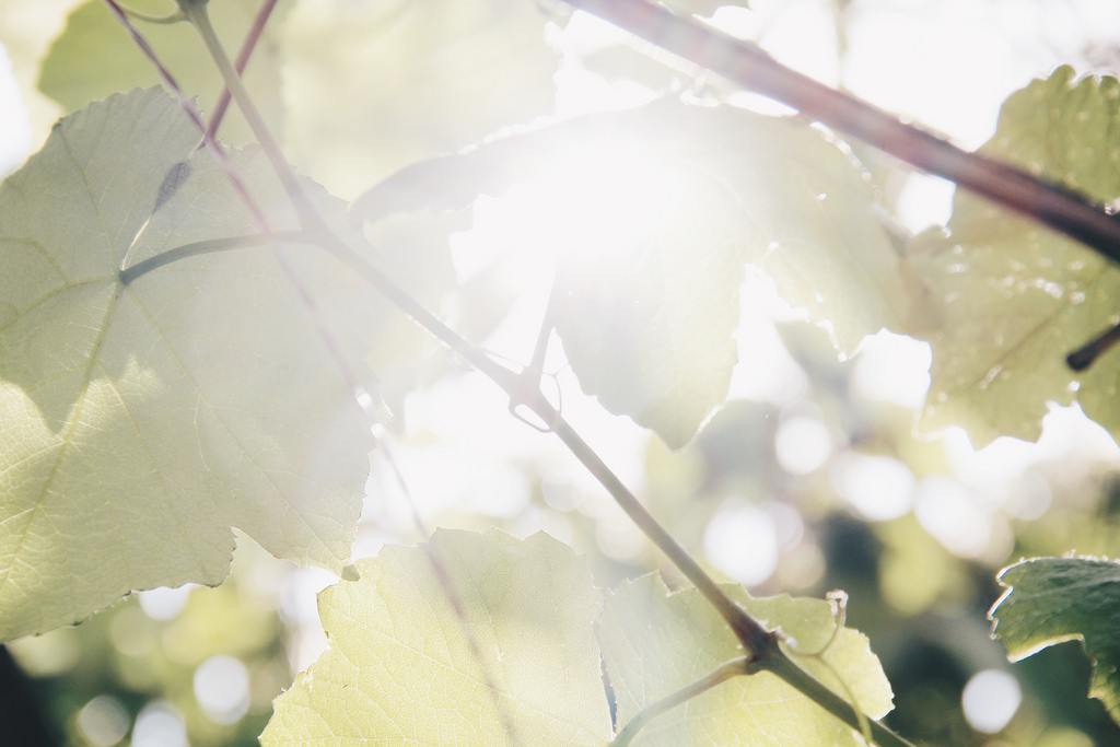 용마랜드 (Yongmaland), Seoul.