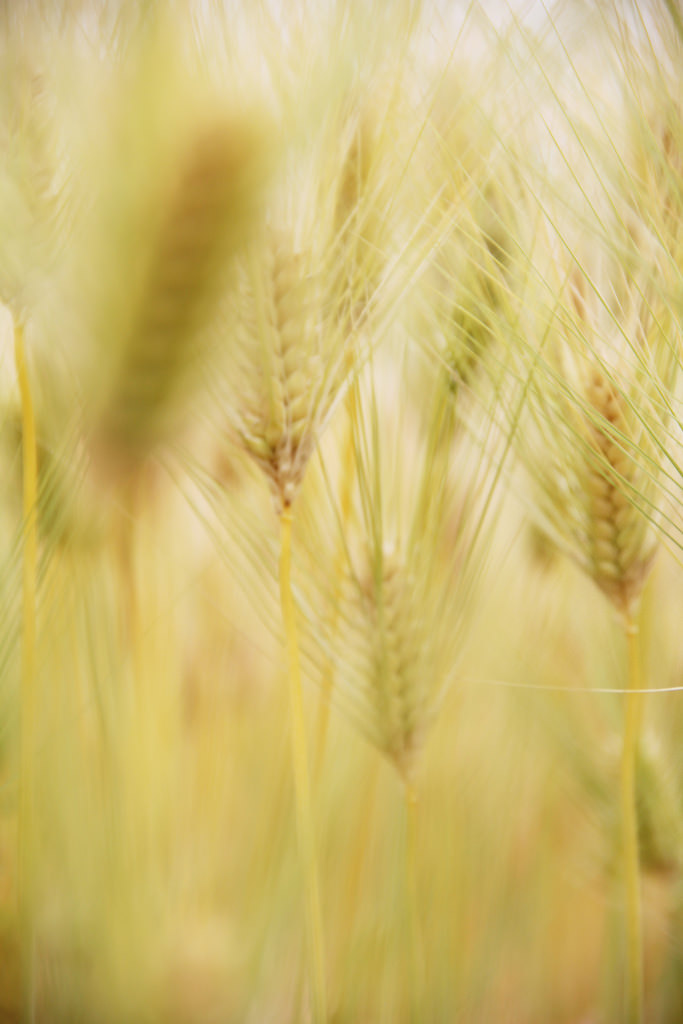 Travel Photographer | Ichon Hangang Park (이촌 한강공원) Seoul South Korea