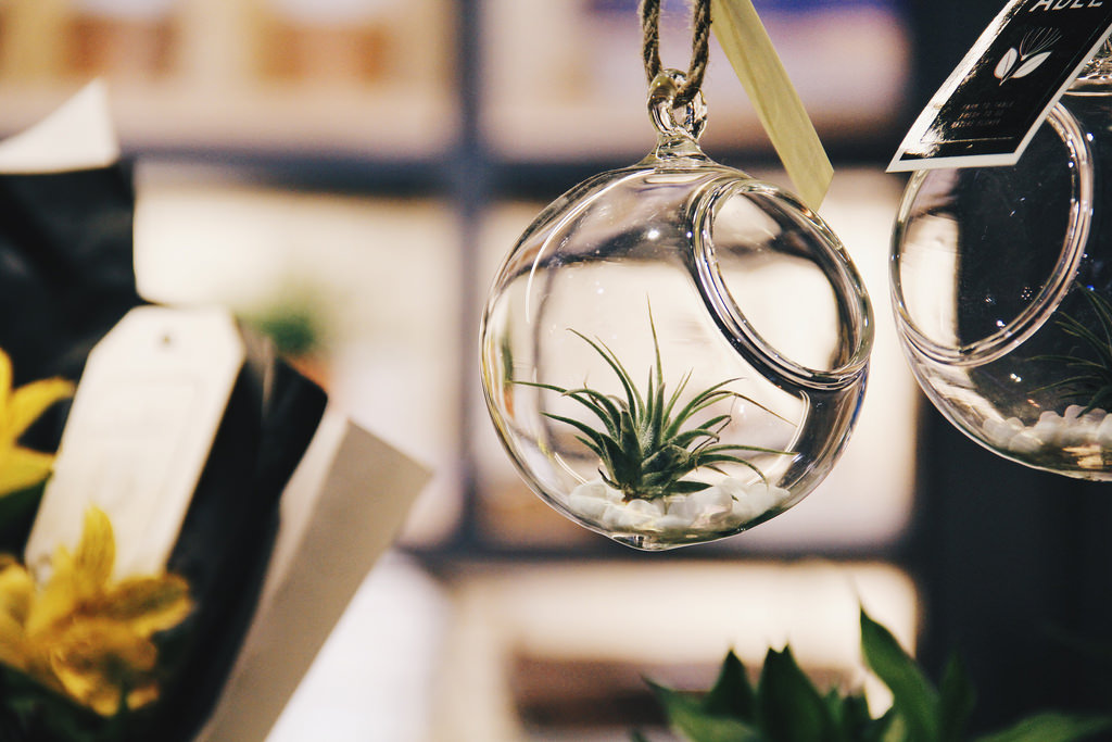 Common Ground (커먼그라운드), Seoul.