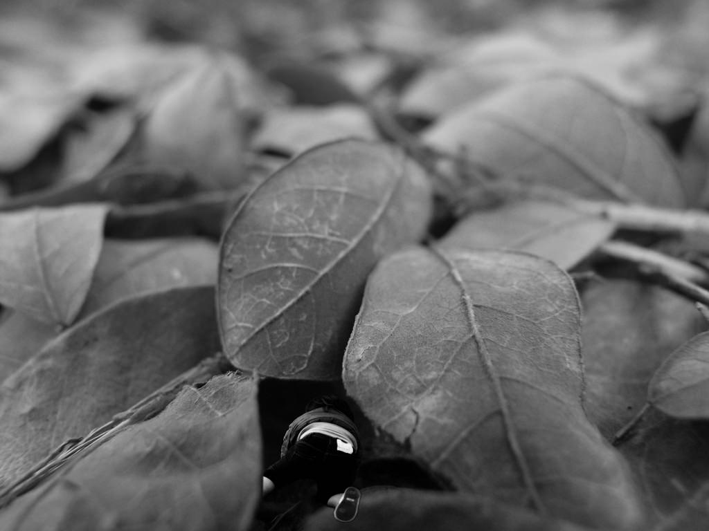 Conceptual Photographer | Noise Singapore 2013