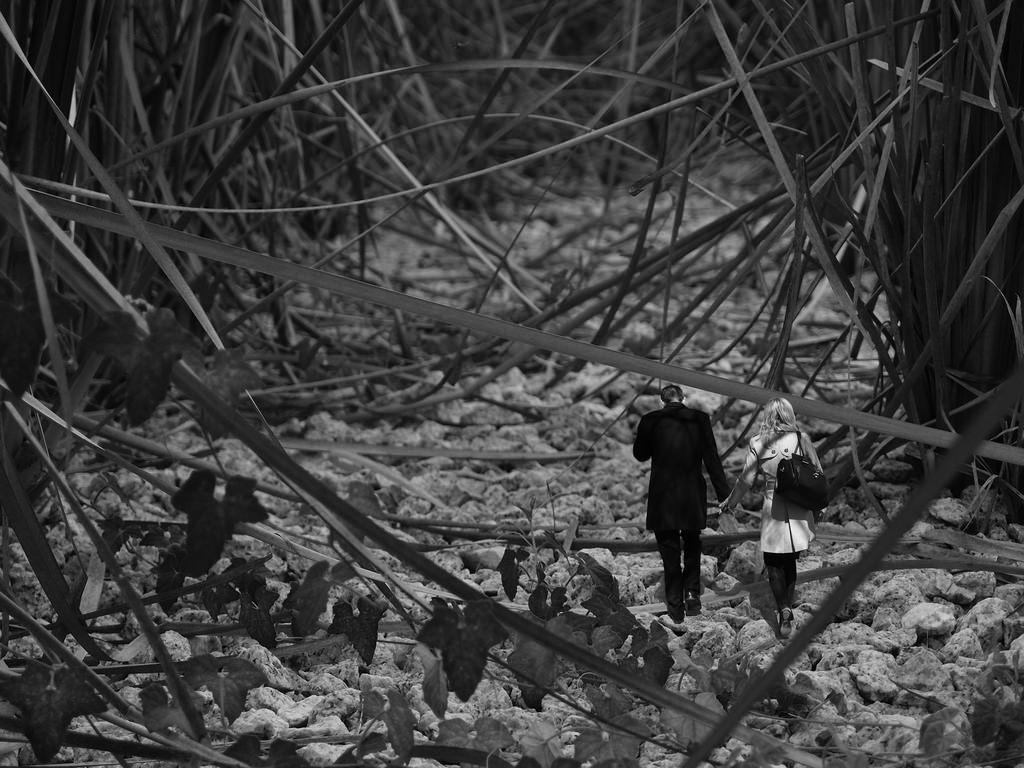 Conceptual Photographer | Noise Singapore 2013