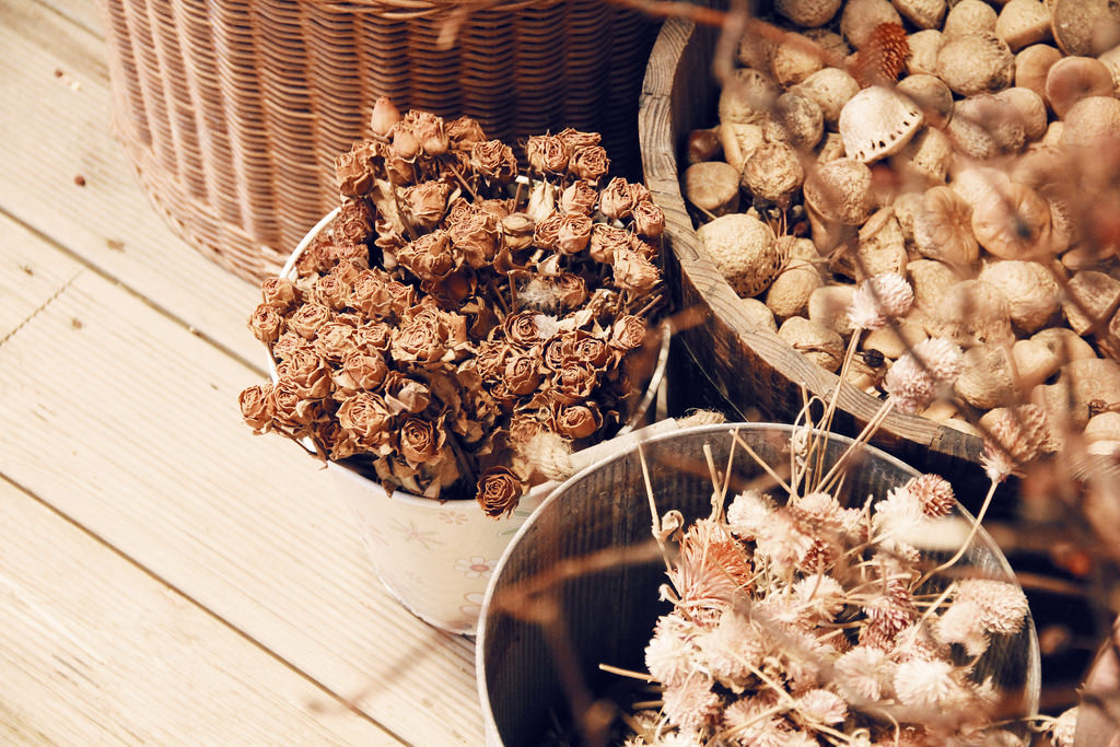 Pocheon Herb Island (포천 허브아일, 랜드), Gyeonggi-do.