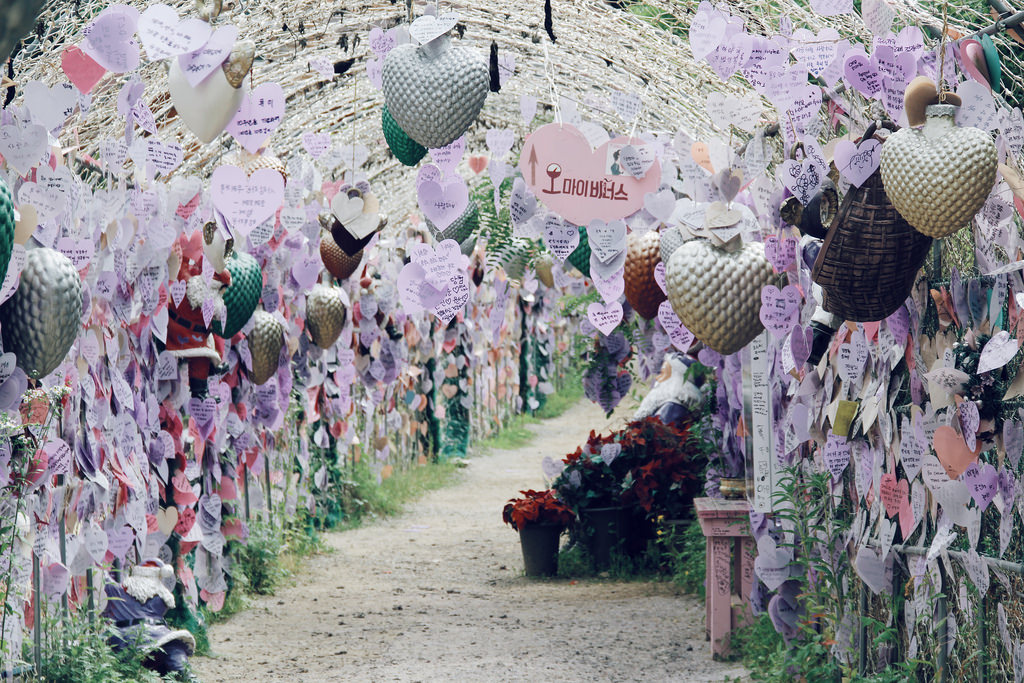 Pocheon Herb Island (포천 허브아일, 랜드), Gyeonggi-do.