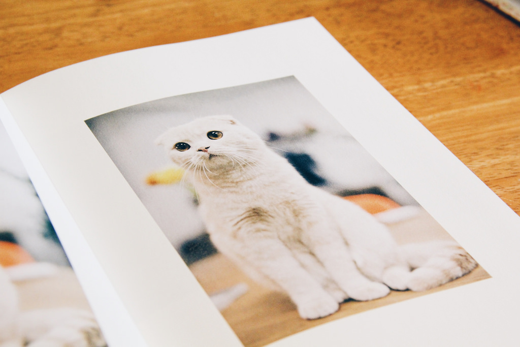 Dreamy Camera Café (꿈꾸는사진기), Gyeonggi-do.