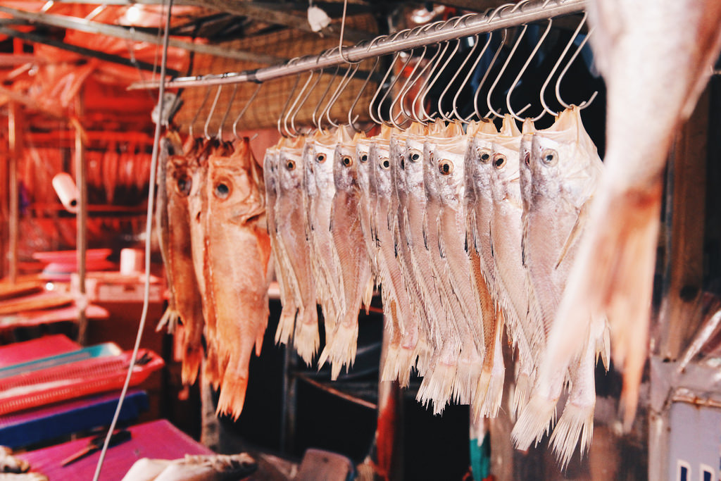 Busan Jagalchi Market (부산 자갈치시장)