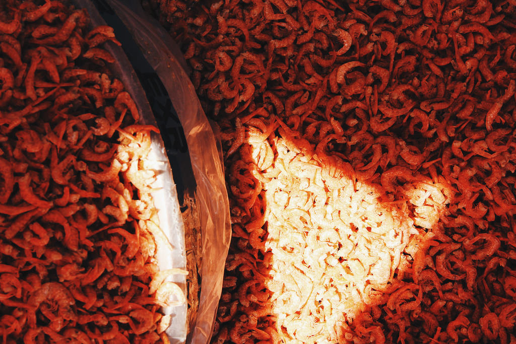Dried shrimps at Busan Jagalchi Market (부산 자갈치시장)