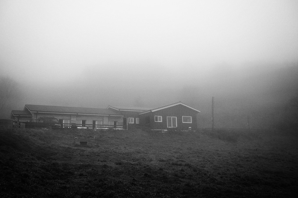 Daegwallyeong Sheep Farm, South Korea.