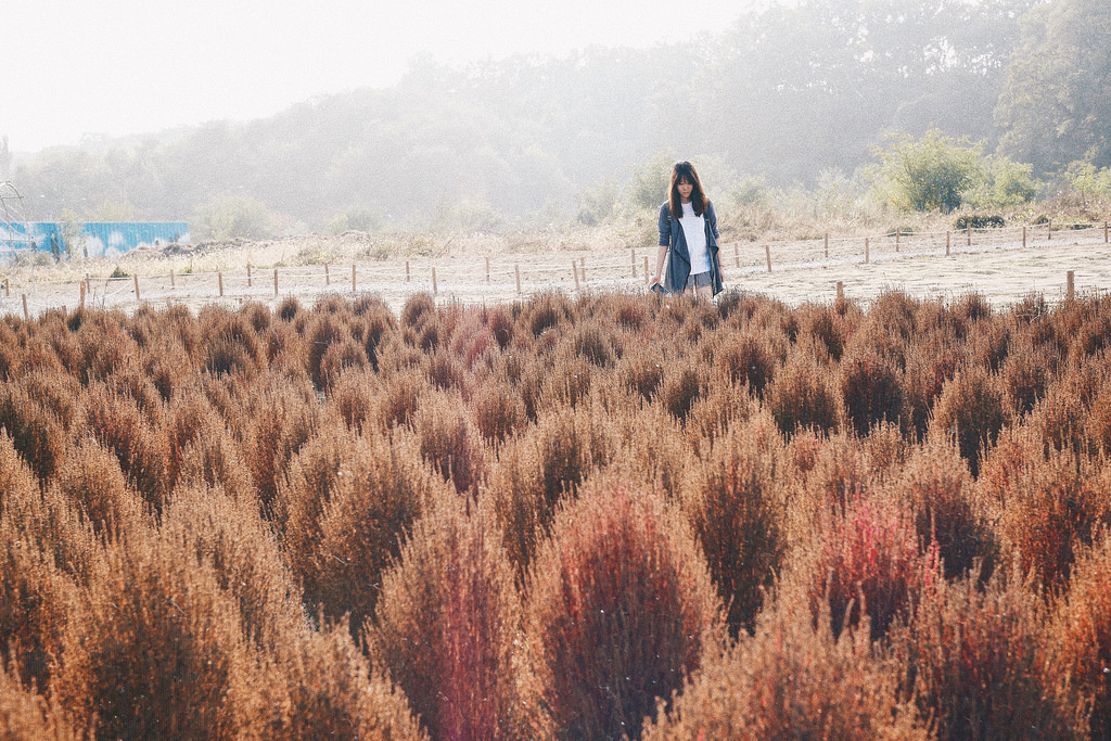 Travel Photographer | Kocchia Gwanggyo Lake Park Suwon South Korea