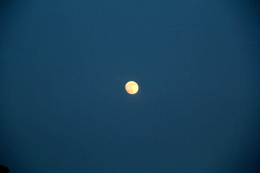 Travel Lifestyle Photographer | Glamping at Elysian Gangchon Ski Resort (엘리시안 강촌 스키장) South Korea