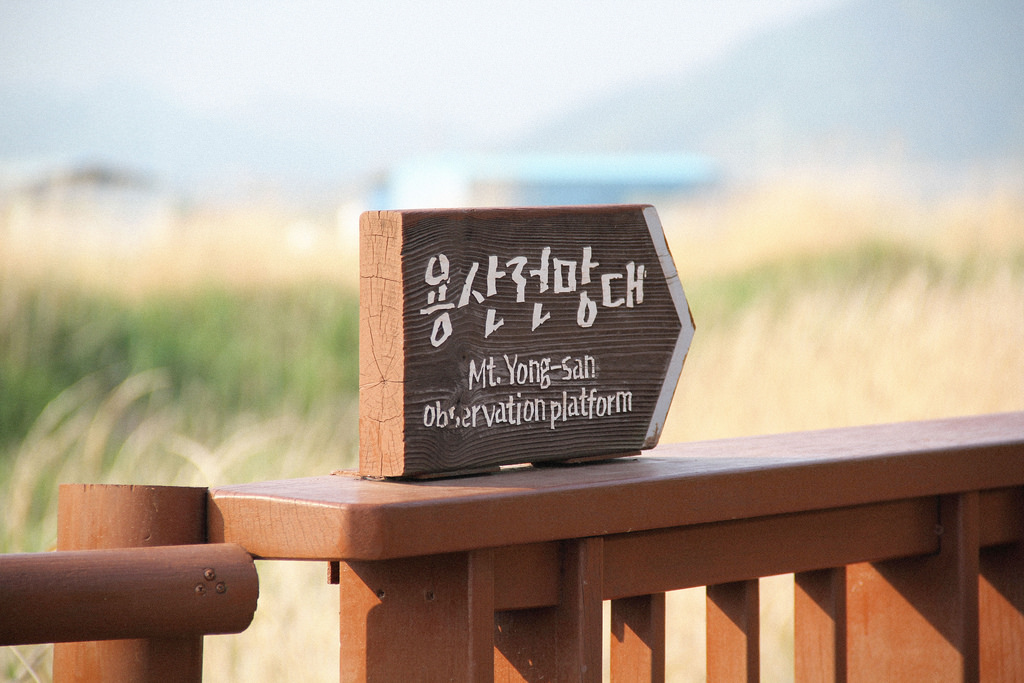 Mt. Yong-san Observation Platform at Suncheonman Bay Wetland Reserve, South Korea.