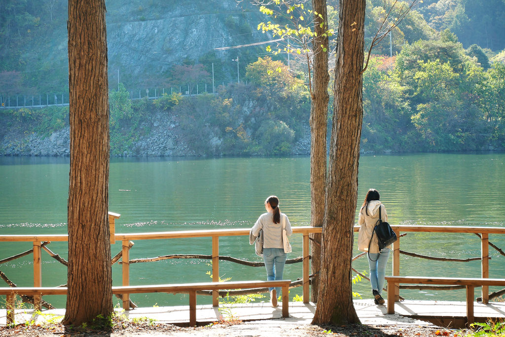 Travel Photographer | Autumn Nami Island (남이섬) South Korea