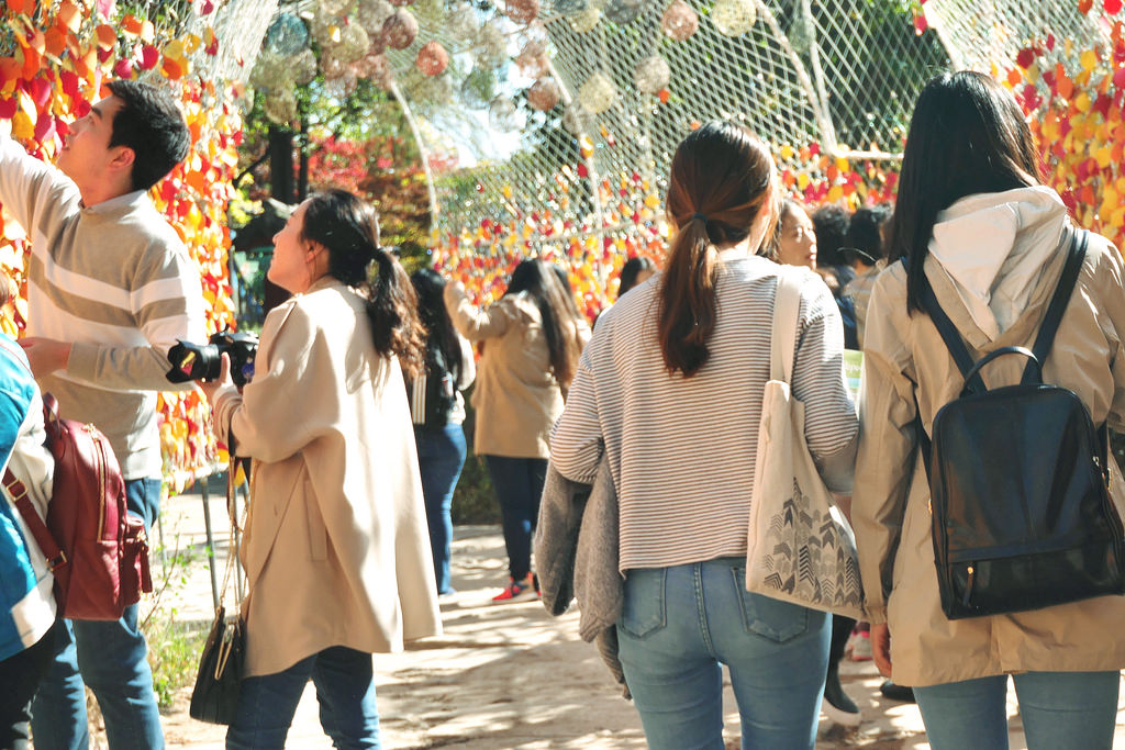 Travel Photographer | Autumn Nami Island (남이섬) South Korea