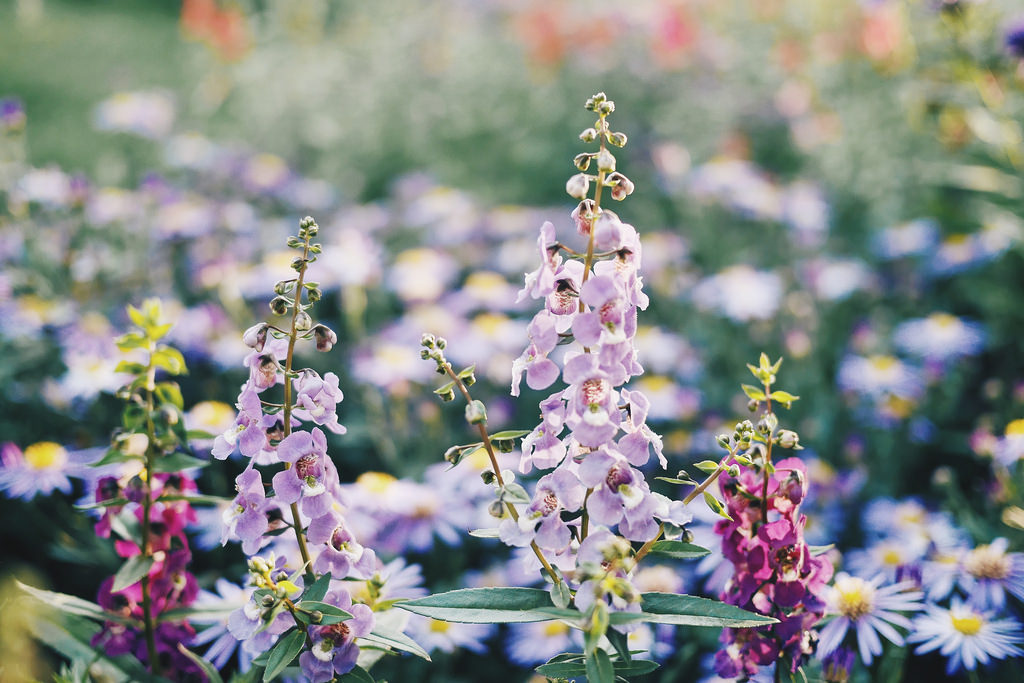 Travel Photographer | Autumn in Pyeonghwa World Cup Park Seoul South Korea