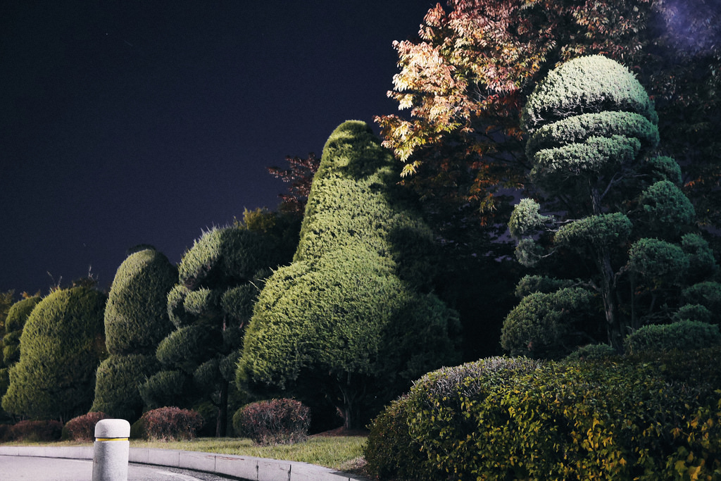 Travel Photographer | Autumn in Korea University Seoul South Korea