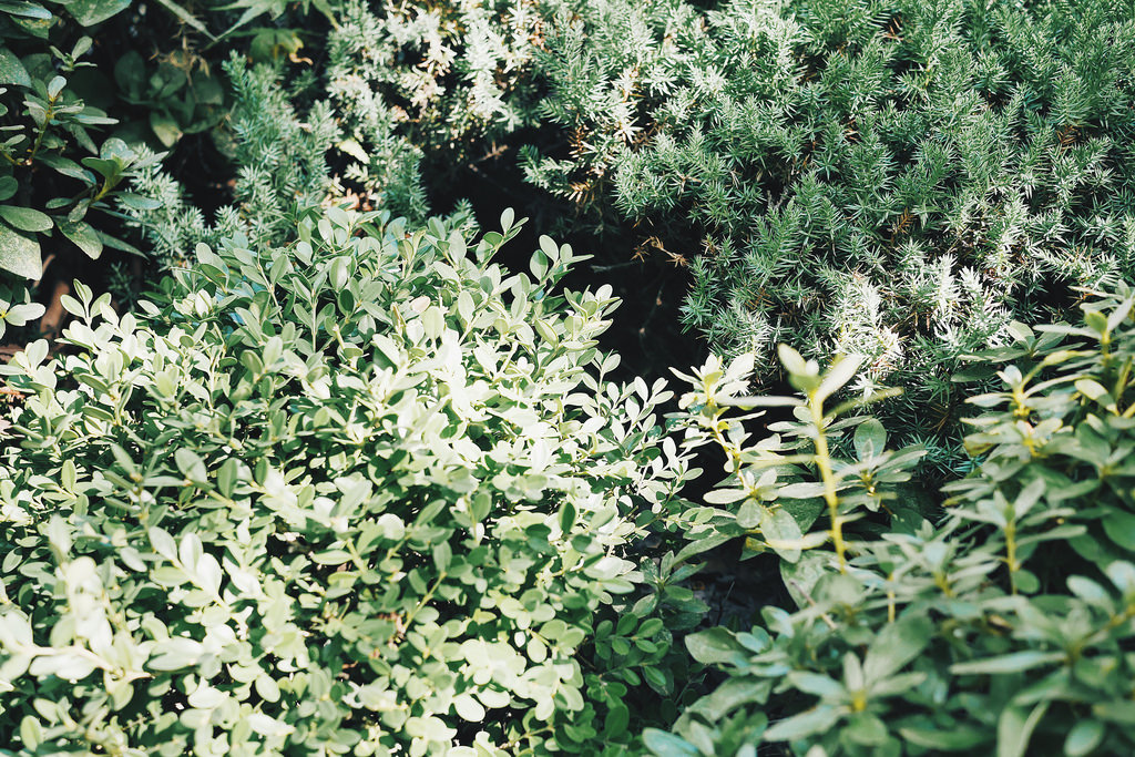 Travel Photographer | Autumn in Pyeonghwa World Cup Park Seoul South Korea