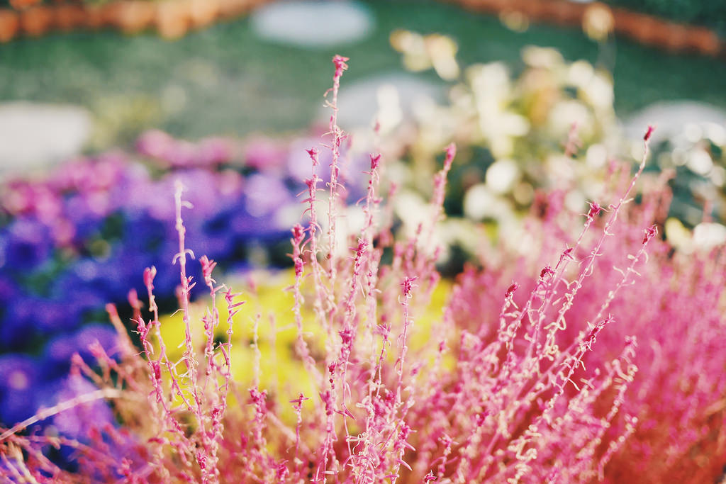 Travel Photographer | Autumn in Pyeonghwa World Cup Park Seoul South Korea