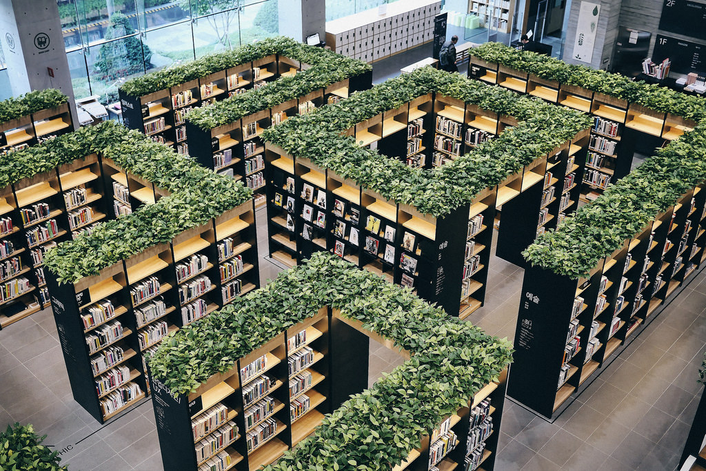 Travel & Lifestyle Photographer | Naver Library South Korea