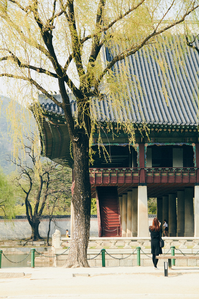 Travel Photographer | Spring at Gyeongbokgung Seoul South Korea
