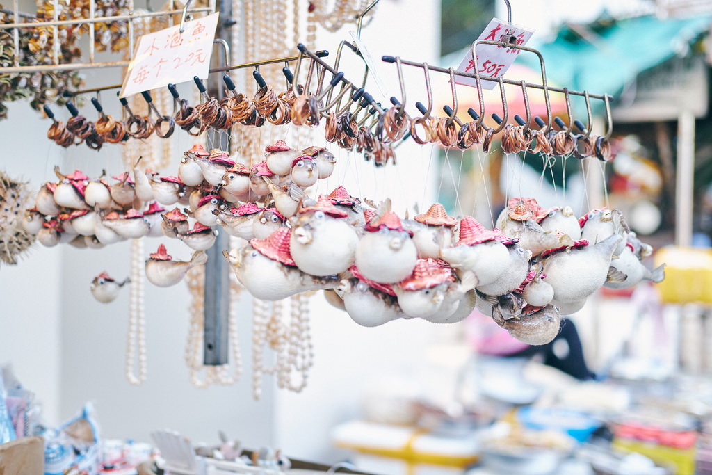 Travel Photographer | Tai O Fishing Village Stilt Houses Hong Kong