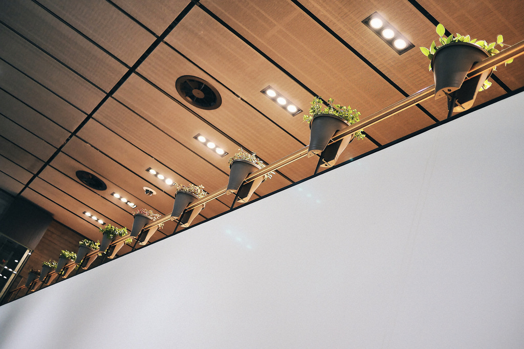 Travel & Lifestyle Photographer | Naver Library South Korea