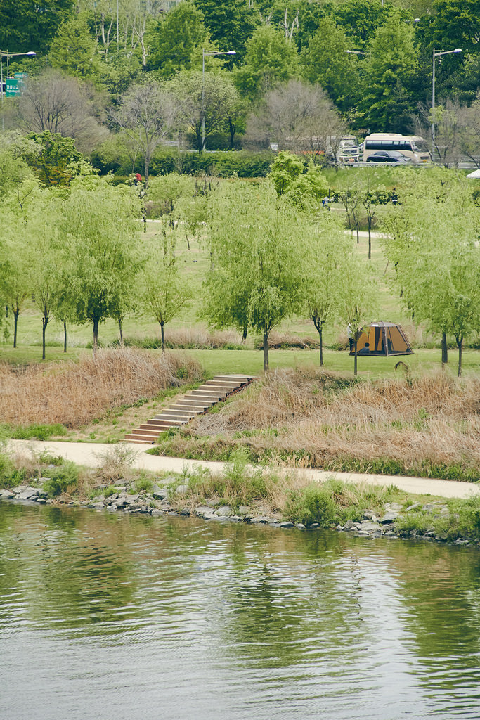 Travel Photographer | Spring at Seonyudo Park Seoul South Korea