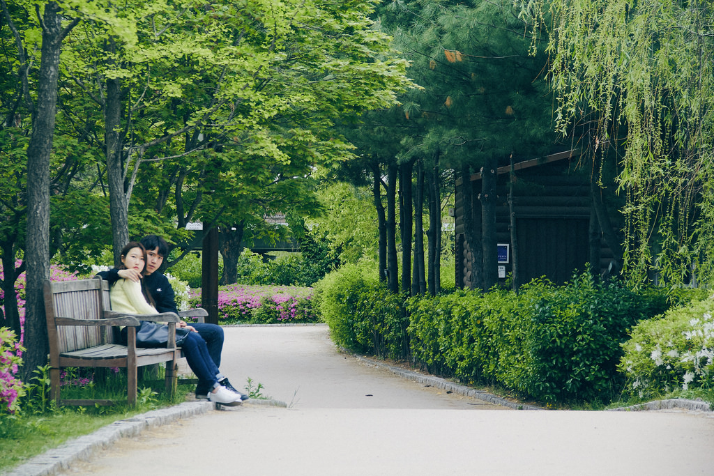Travel Photographer | Spring at Seonyudo Park Seoul South Korea