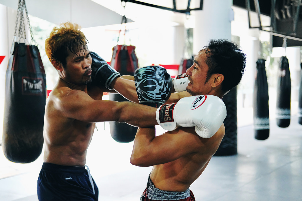 37188205762_acb10da62f_b_d