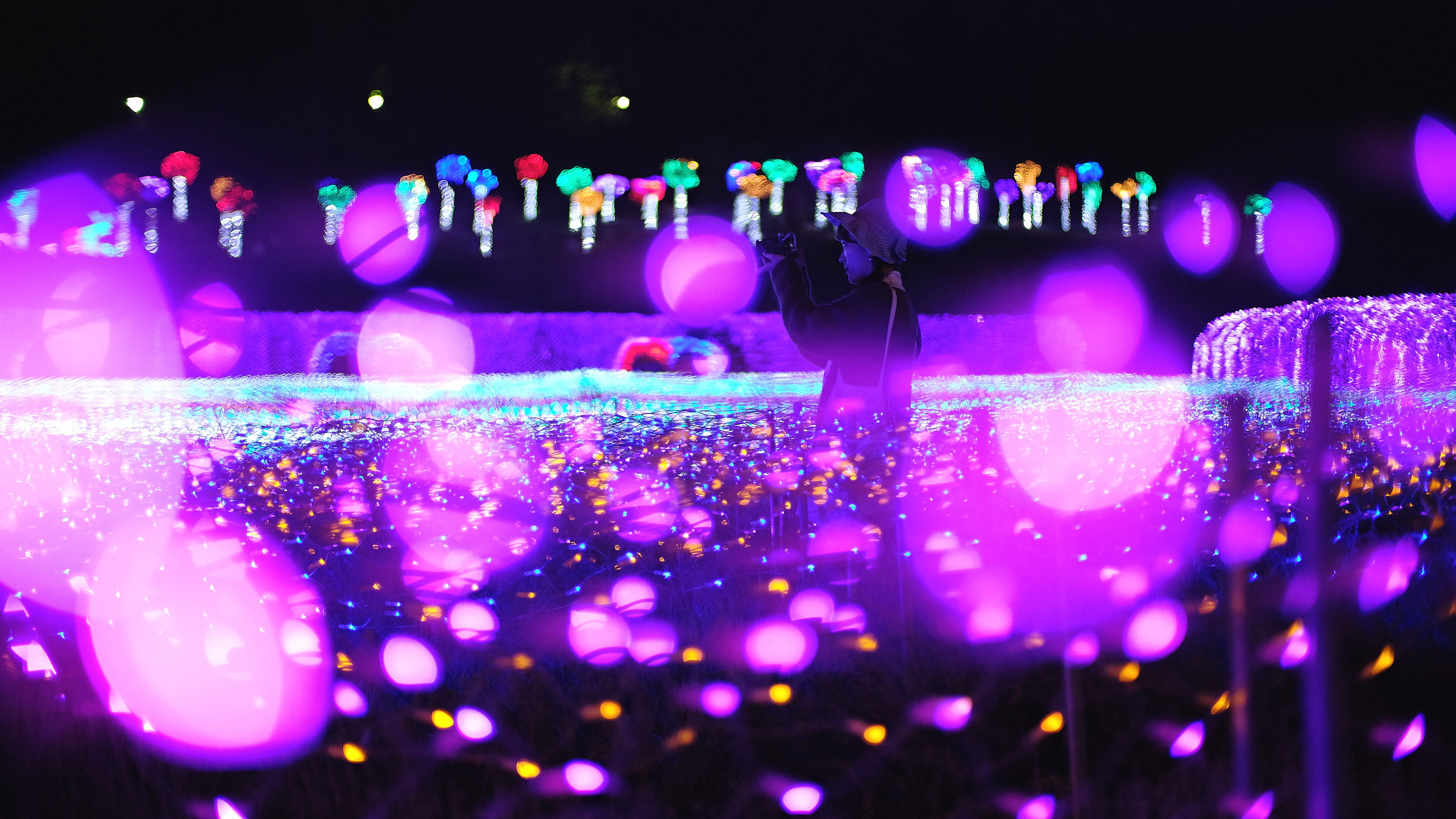 Photographer | Pocheon South Korea