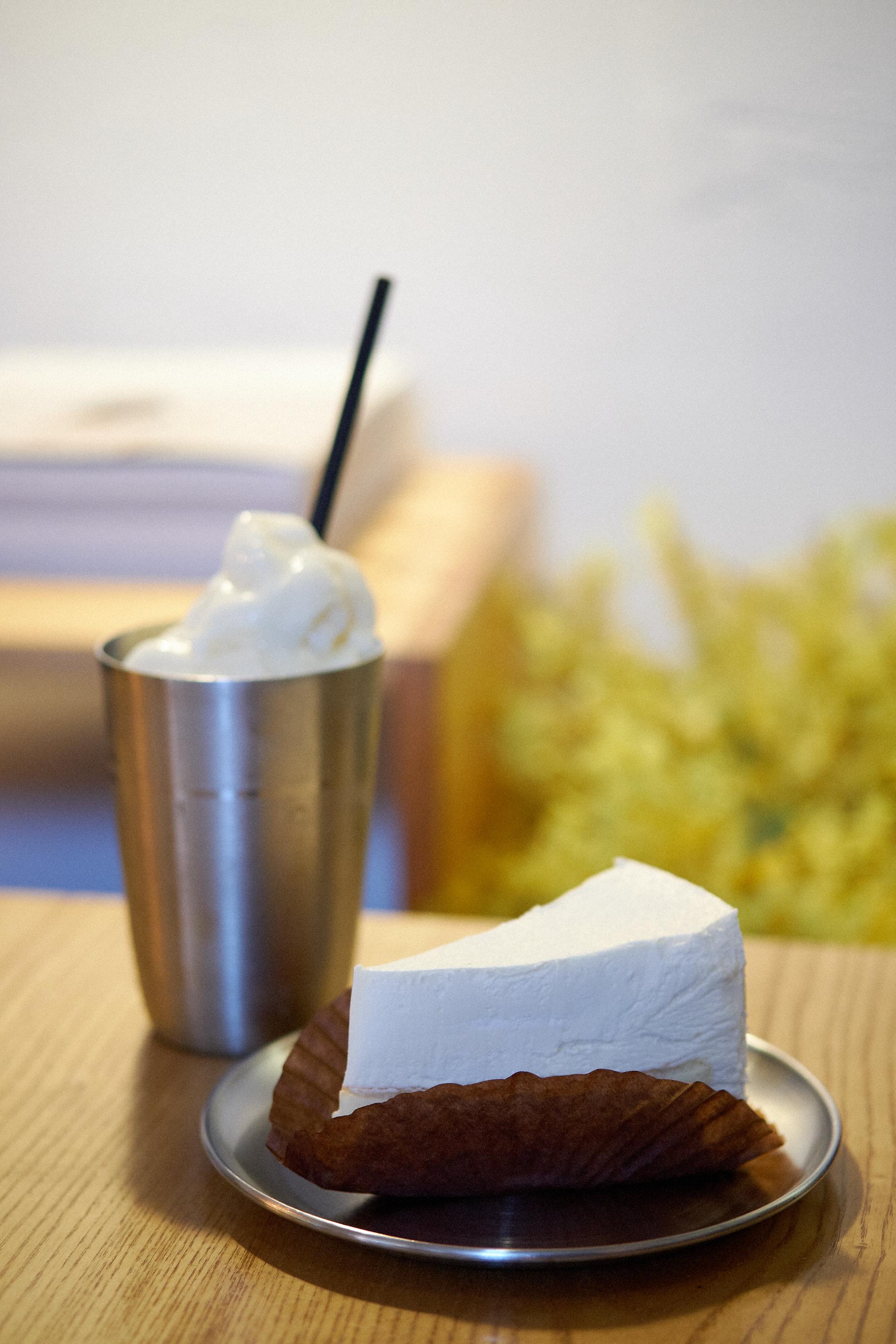 Mouse Rabbit Cafe Seoul South Korea | Photographer